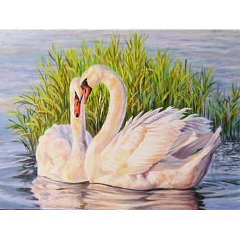 Norimpex - Puzzle Diamant painting: Swans in the reeds 30x40cm - 1 - 39 piese