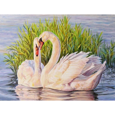 Norimpex - Puzzle Diamant painting: Swans in the reeds 30x40cm - 1 - 39 piese