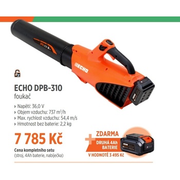 Echo DPB-310 SET