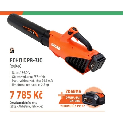 Echo DPB-310 SET