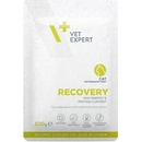 Vet Expert Veterinary Diet Cat Recovery 100 g