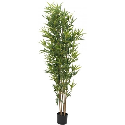 Europalms Bambus deluxe, 180cm
