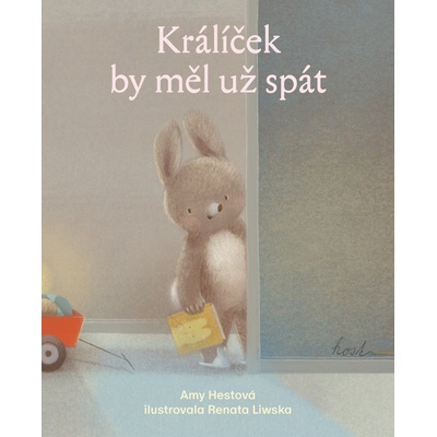 Králíček by měl už spát - Amy Hest