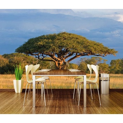 Dimex XL-138 vliesová fototapeta na zeď Acacia Tree rozměry 330 x 220 cm
