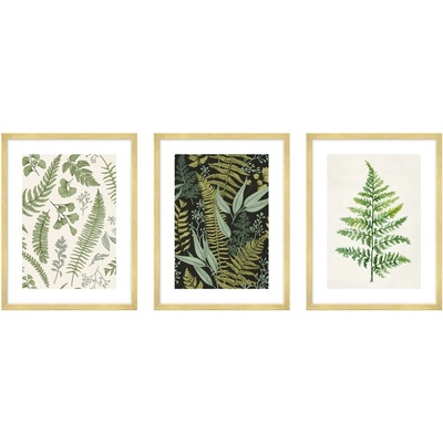 knor Картини в комплект 3 бр. 30x40 cm Fern - knor (ZEST007OBR3X30X40L13,15,045)