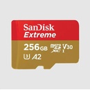 SanDisk microSDXC UHS-I U3 256 GB SDSQXAV-256G-GN6MA