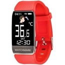 Watchmark WT1