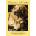 Afternoons with Puppy | Aubrey H. Fine, Cynthia J. Eisen