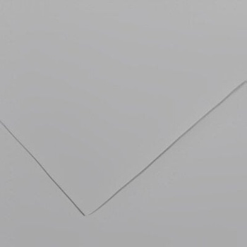 Canson Vivaldi 70x100 cm Light Grey 35 240 g Цветна хартия (C200040474)