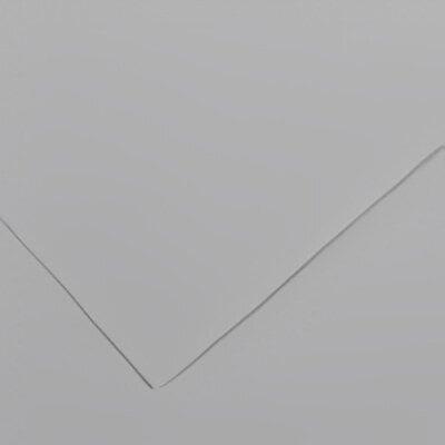 Canson Vivaldi 70x100 cm Light Grey 35 240 g Цветна хартия (C200040474)