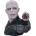 Nemesis Now Bust Harry Potter Lord Voldemort 30.5cm