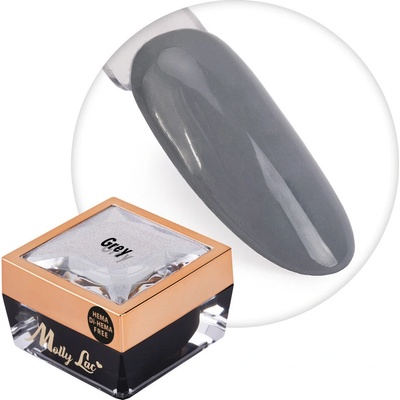 MollyLac Paint gel ombre grey 5g