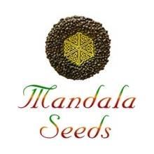 Mandala Seeds Krystalica semena neobsahují THC 5 ks