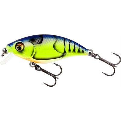Westin BuzzBite SR Crankbait Low Floating 5cm 6g Chart. Blue Craw
