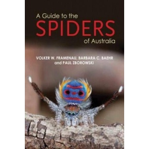 Guide to Spiders of Australia | Paul Zborowski (ISBN: 9781921517242)