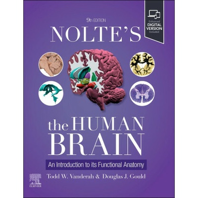 Nolte's The Human Brain Todd W. Vanderah,Douglas J. Gould
