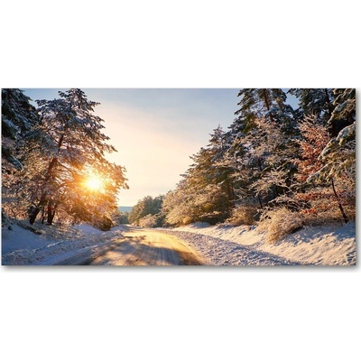 Fotoobraz na skle Cesta v lese zima 100x50 cm