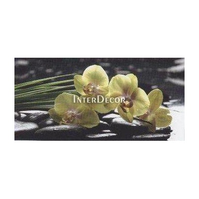 Kameny s orchideji 1 deska 100x50