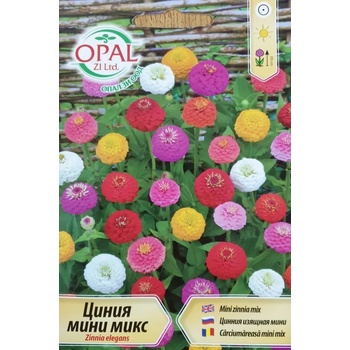 Image 1 of Opal Zi Циния мини микс