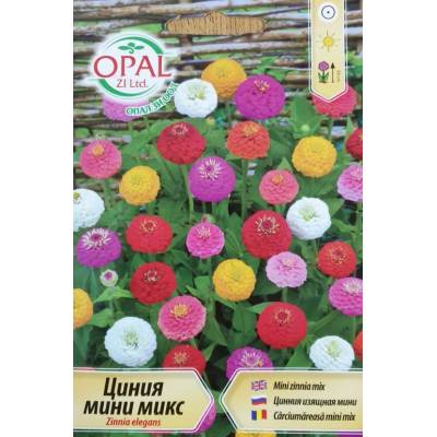 Opal Zi Циния мини микс