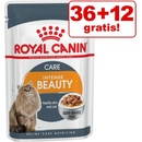 Royal Canin Sensory v omáčce 48 x 85 g