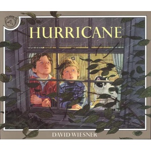 Hurricane | David Wiesner (ISBN: 9780395629741)