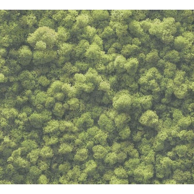 A.S. Création 394051 Vliesová tapeta na zeď PintWalls, rozměry 0,53 x 10,05 m