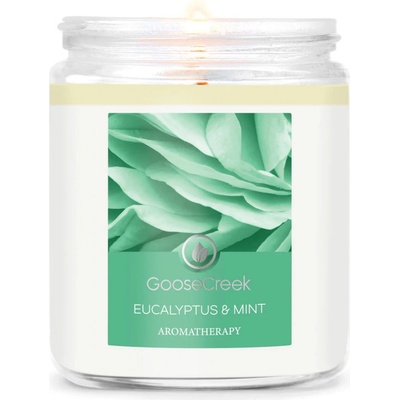Goose Creek Candle Eucalyptus & Mint 198 g