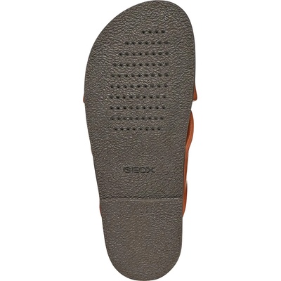 Geox Кожени чехли Geox D ADELASH (D55YWB000TUC6014)