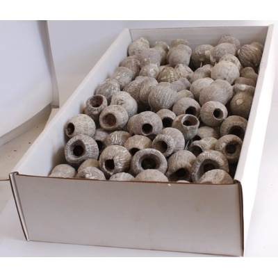 Sušené květiny Gum Bells na drátku stonewashed, 100 ks, šedé