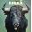 Urge Overkill - Oui (Green Coloured) (LP) (810075112160)