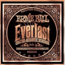 Ernie Ball 2544