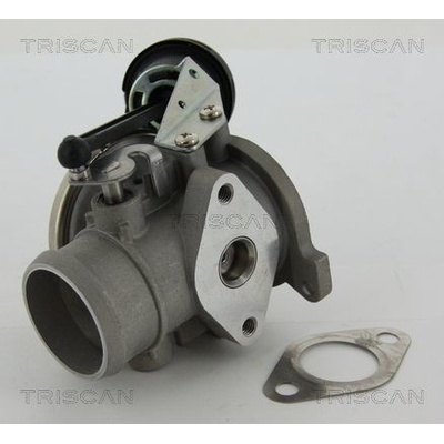 AGR-Ventil TRISCAN 8813 29022