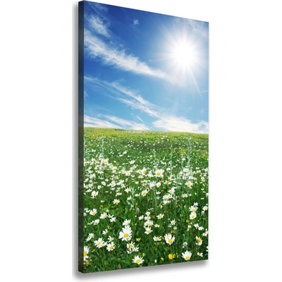 Vertikálny foto obraz tlačený na plátne Lúka 50x100 cm