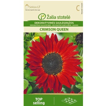 Image 1 of Seklos Хелиантус Червена Кралица Helianthus annuus Crimson Queen