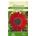 Seklos Хелиантус Червена Кралица Helianthus annuus Crimson Queen