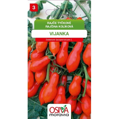 Osiva Moravia Rajče tyčkové rybízové Vijanka