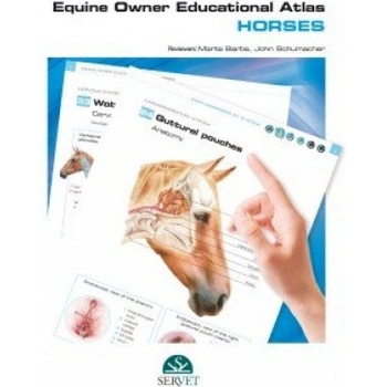 EQUINE OWNER EDUCATIONAL ATLASHORSES | MARTA BARBA RECREO