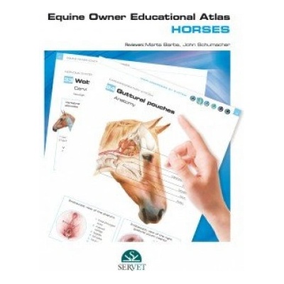 EQUINE OWNER EDUCATIONAL ATLASHORSES | MARTA BARBA RECREO