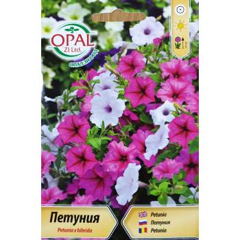 Image 1 of Opal Zi Петуния балконна (каскадна)
