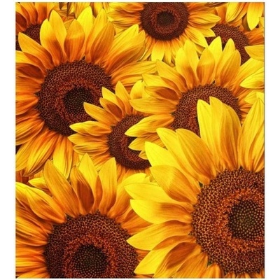 DIMEX ART Флизелинов фототапет поле от невен 225 x 250 см