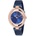 Daniel Klein Дамски часовник Daniel Klein DK12194-5 (B--DK12194-5)