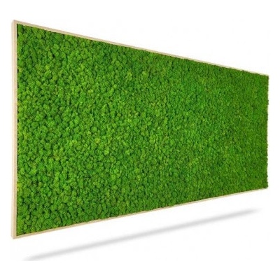 Machový obraz LIŠAJNÍK mono GREEN, 140x60cm, drevený biely rám