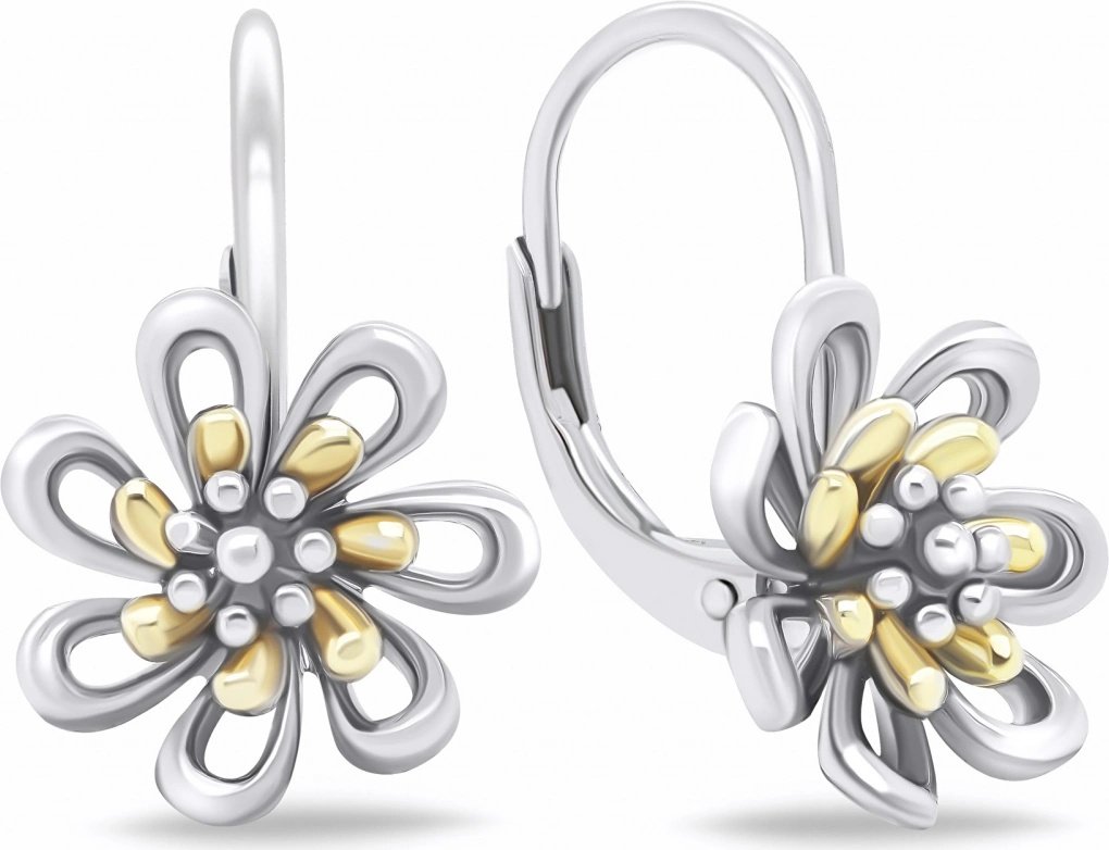 Brilio Silver EA682WY