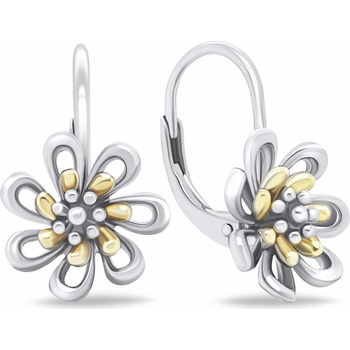 Brilio Silver EA682WY