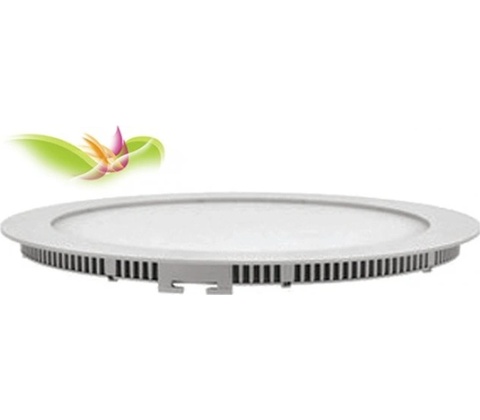 Sandria P1260