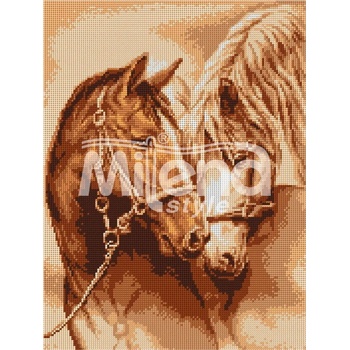 Image 1 of Milena Style Привързаност - гоблен с щампа без конци