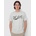 DC Substitute light heather grey