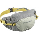 Salomon Trailblazer