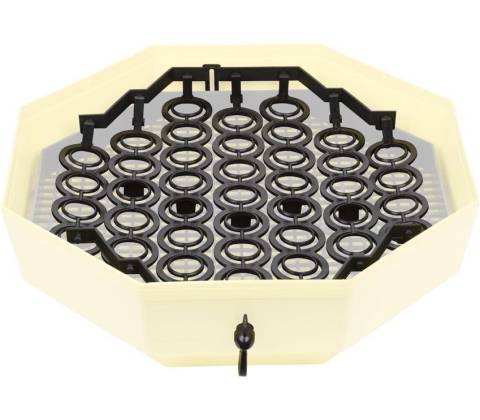 System CLEO IPPE-6